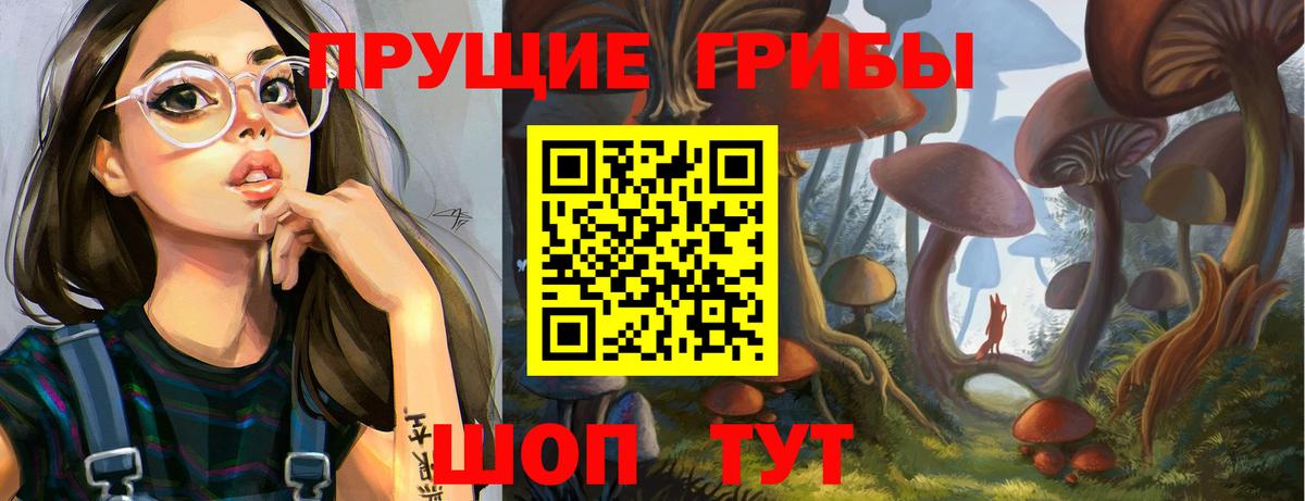 Псилоцибиновые грибы мицелий Кировск